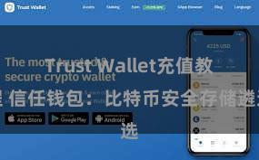 Trust Wallet充值教程 信任钱包：比特币安全存储遴选